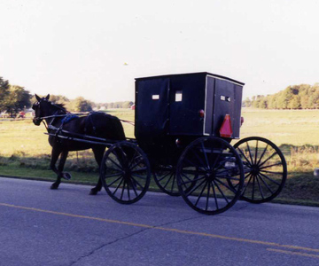 Amish buggy