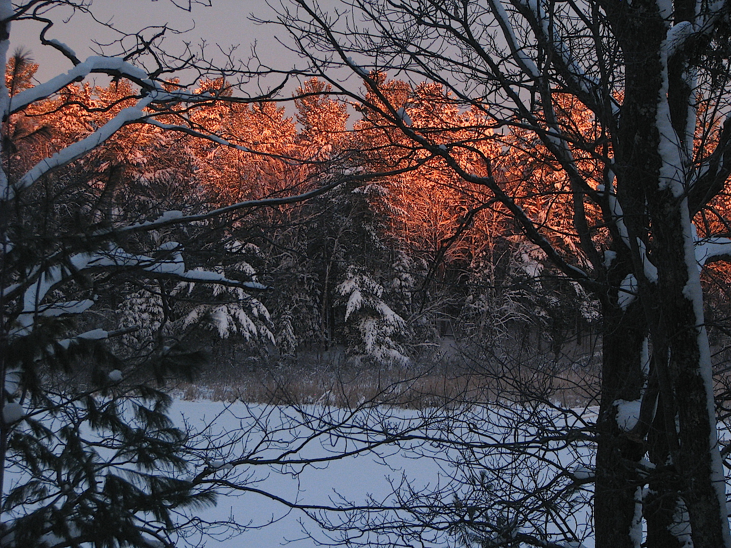 Fiery Dawn 12-31-2014