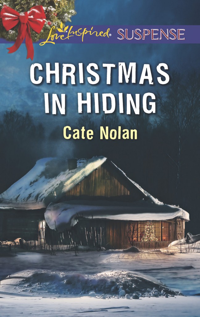 Christmas in Hiding