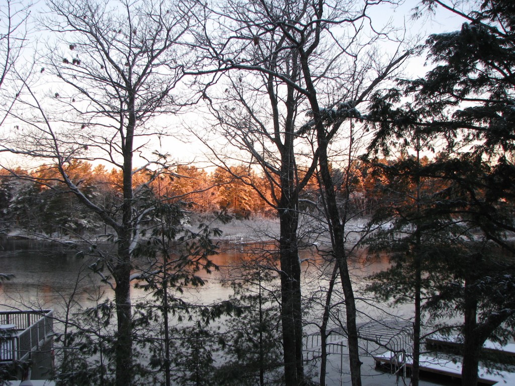 Frosty pink dawn