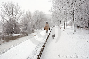 woman walking dog in winter