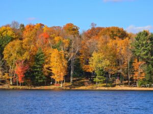 fall colors